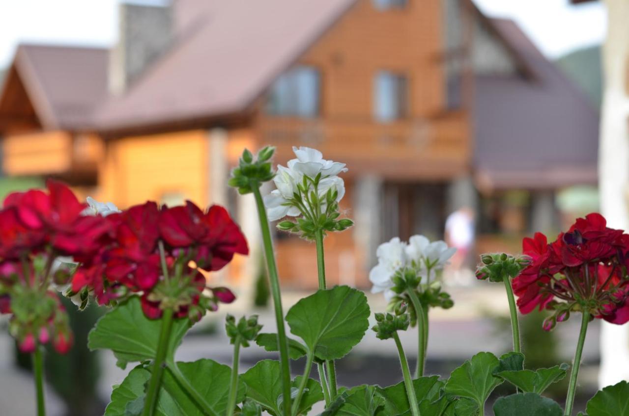 Sribni Rosy Hotel Mikulicsin Kültér fotó